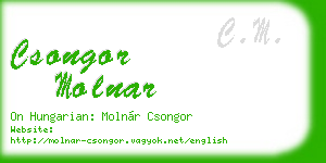 csongor molnar business card
