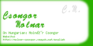 csongor molnar business card